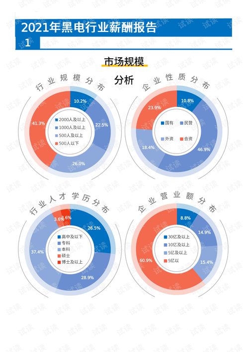 2021年薪酬报告系列之家电家具黑电行业薪酬报告薪酬调查.pdf